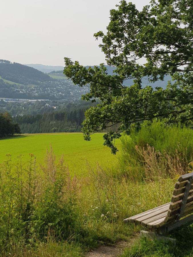 Villa Ferienhaus Am Gehre Bad Berleburg Exterior foto