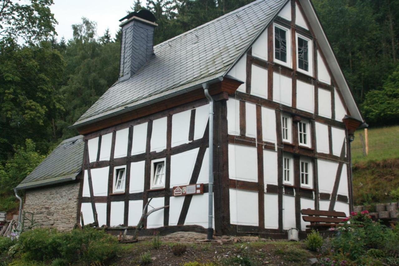 Villa Ferienhaus Am Gehre Bad Berleburg Exterior foto